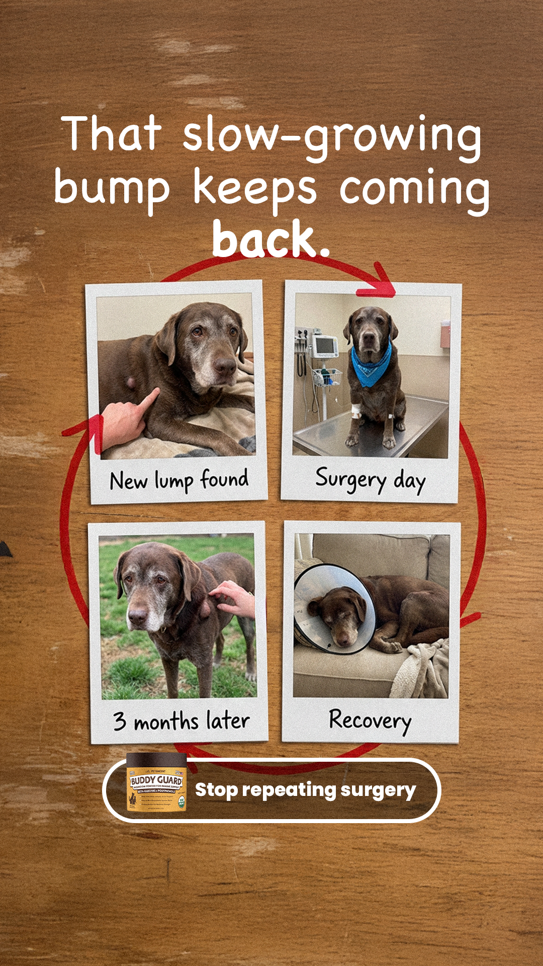 Petsmont Facebook ad