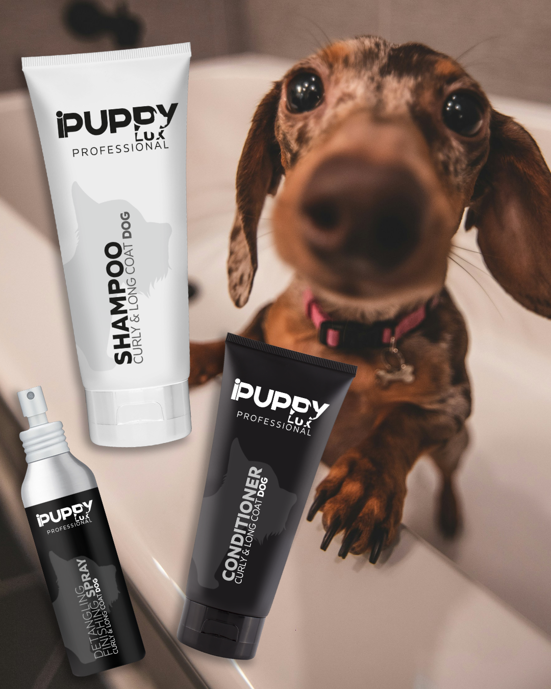 IPuppyLux Professional Facebook ad