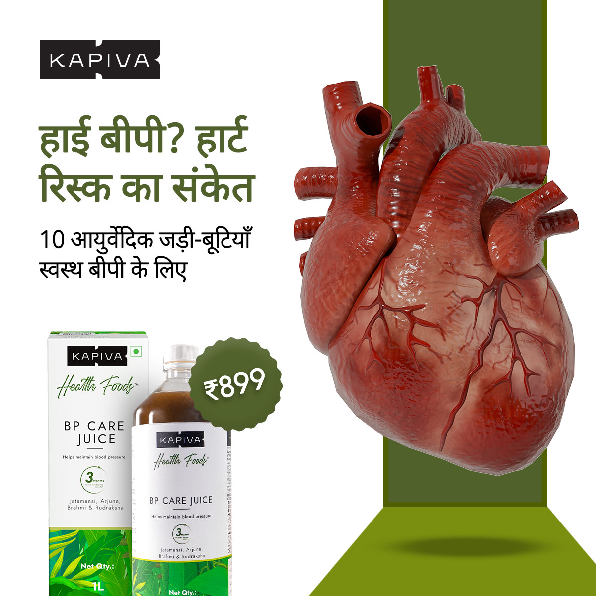 Chronic Health Solutions by Kapiva Facebook ad