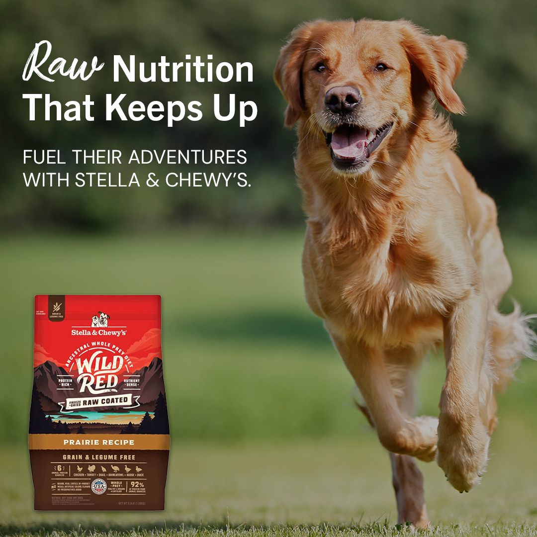 Stella & Chewy's Facebook ad