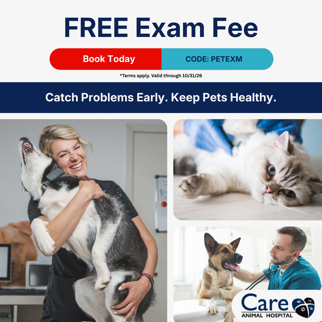 Care Animal Hospital Facebook ad: It's Been A While. Let's Check In.