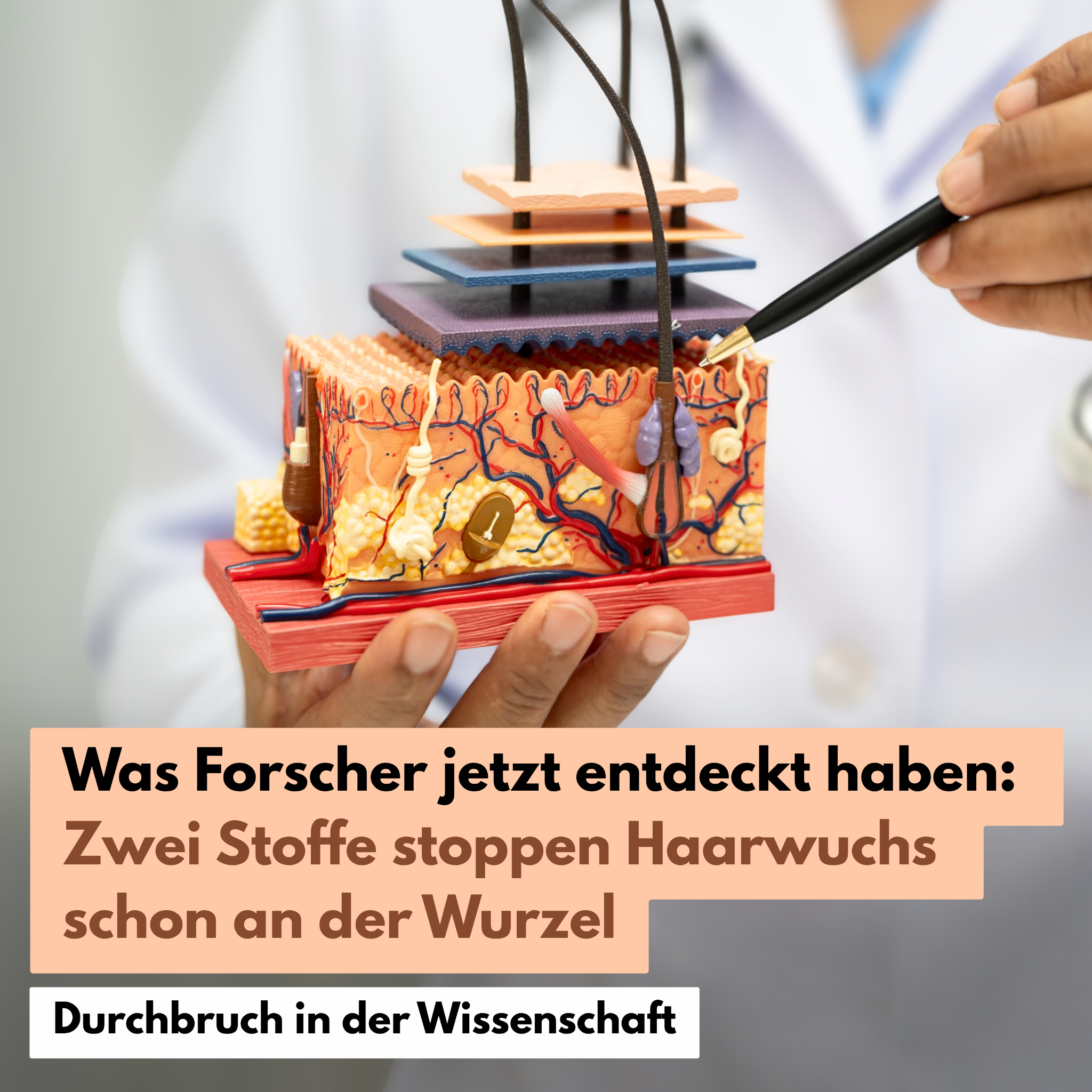 Emmas Lifestyle Tagebuch Facebook ad