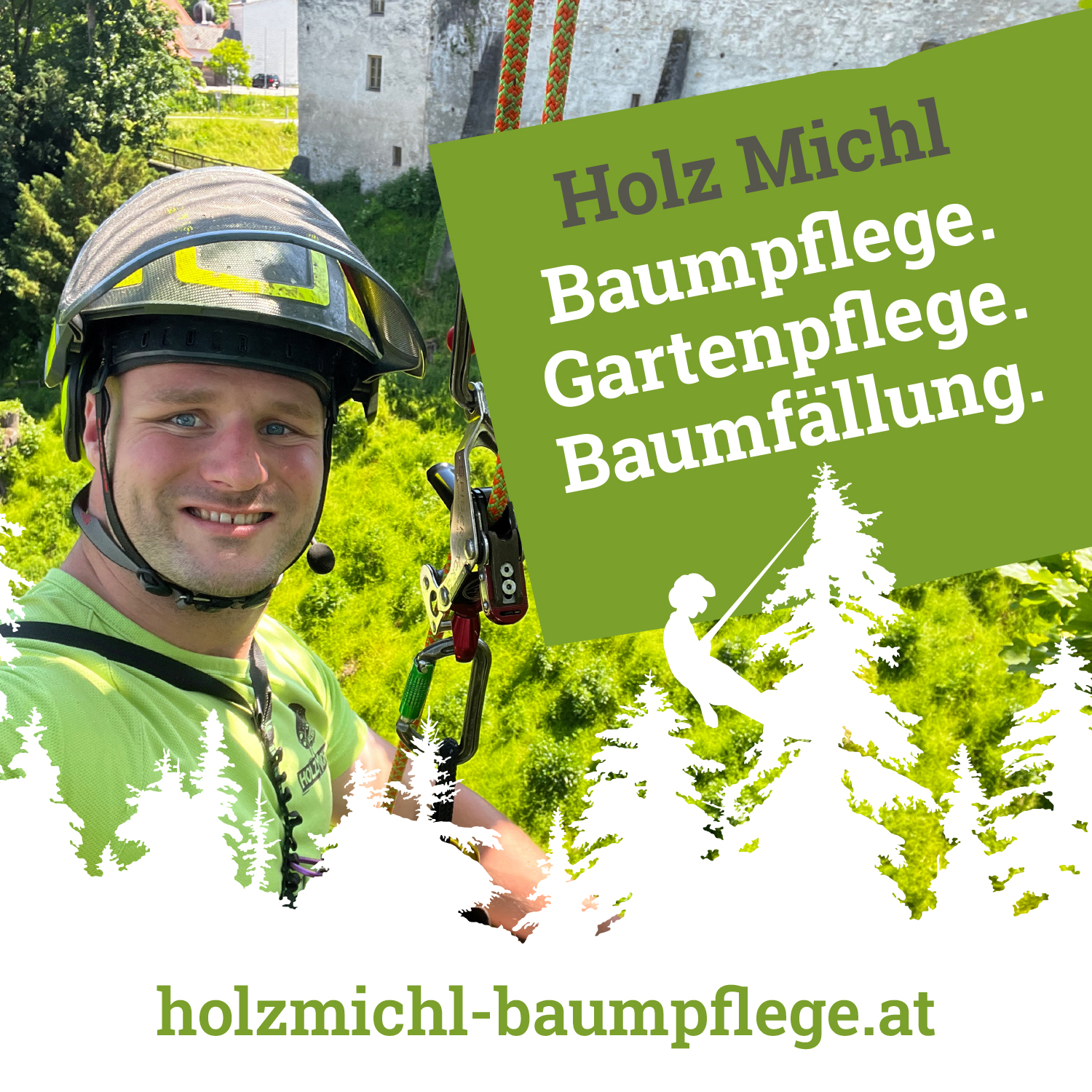 Holz Michl- Baumpflege Facebook ad: BaumPFLEGE & BaumSCHNITT