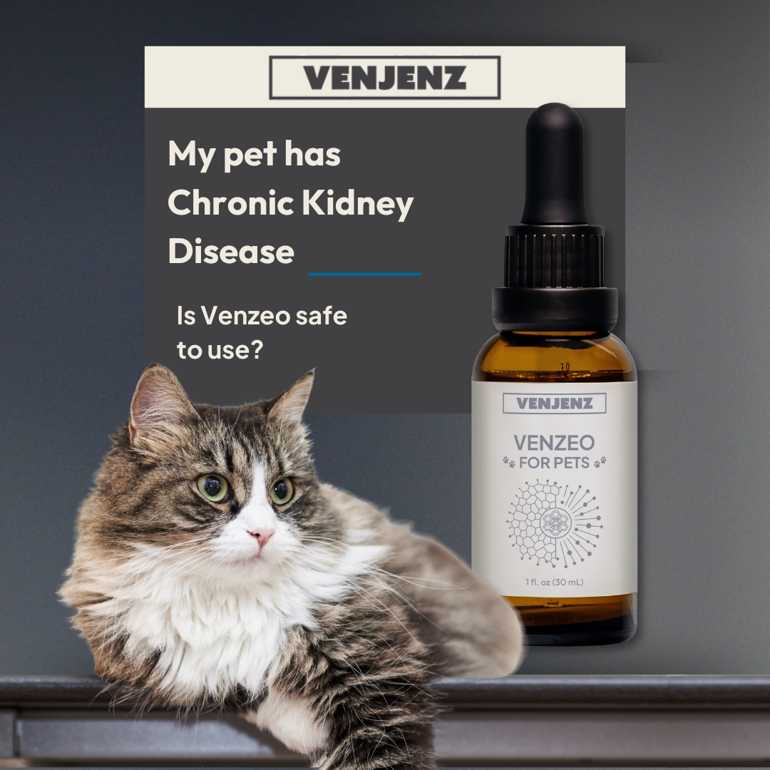 Venjenz Facebook ad: Question: My dog or cat has Chronic Kidney…