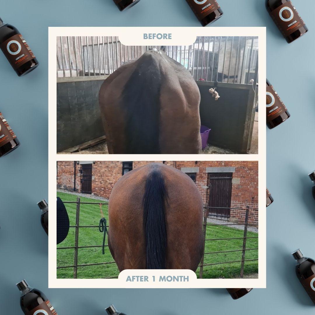 Neighked Facebook ad