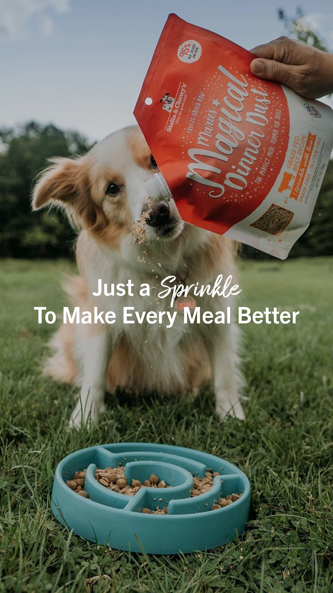 Stella & Chewy's Facebook ad