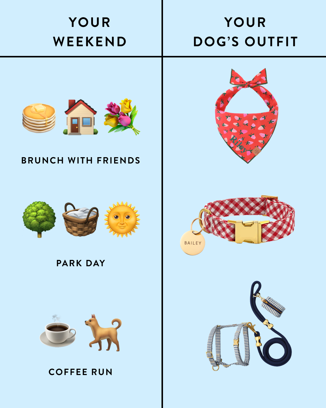 The Foggy Dog Facebook ad
