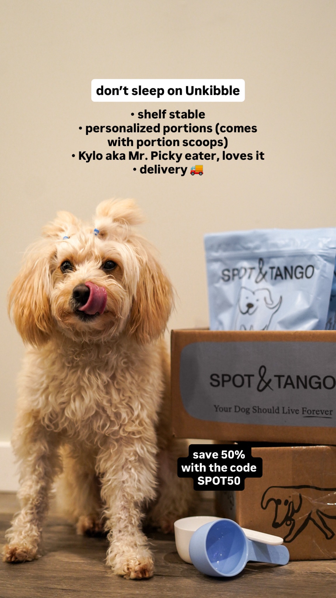 Kylo the Pomapoo Facebook ad