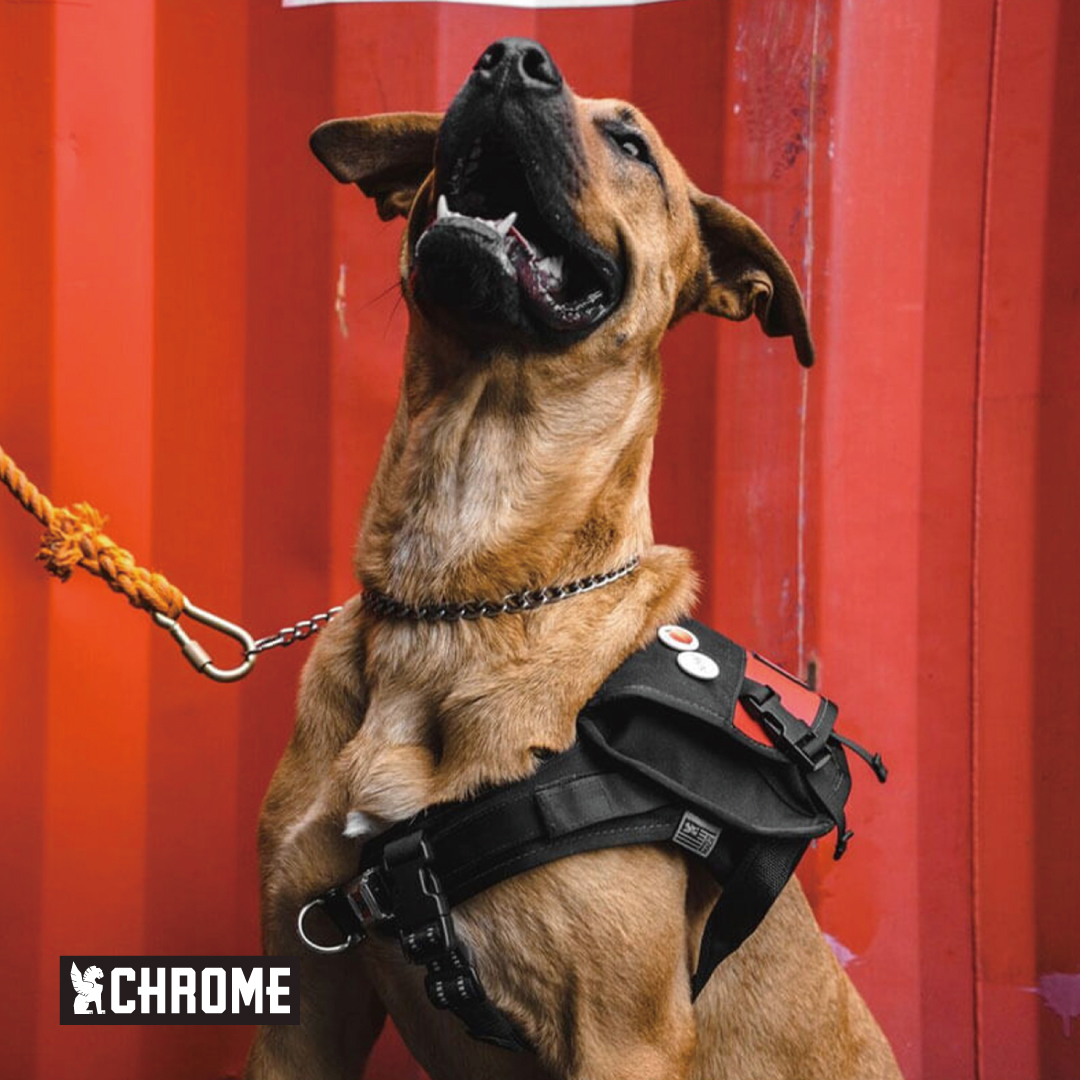 Chrome Industries Japan Facebook ad: 【DOG BAG】