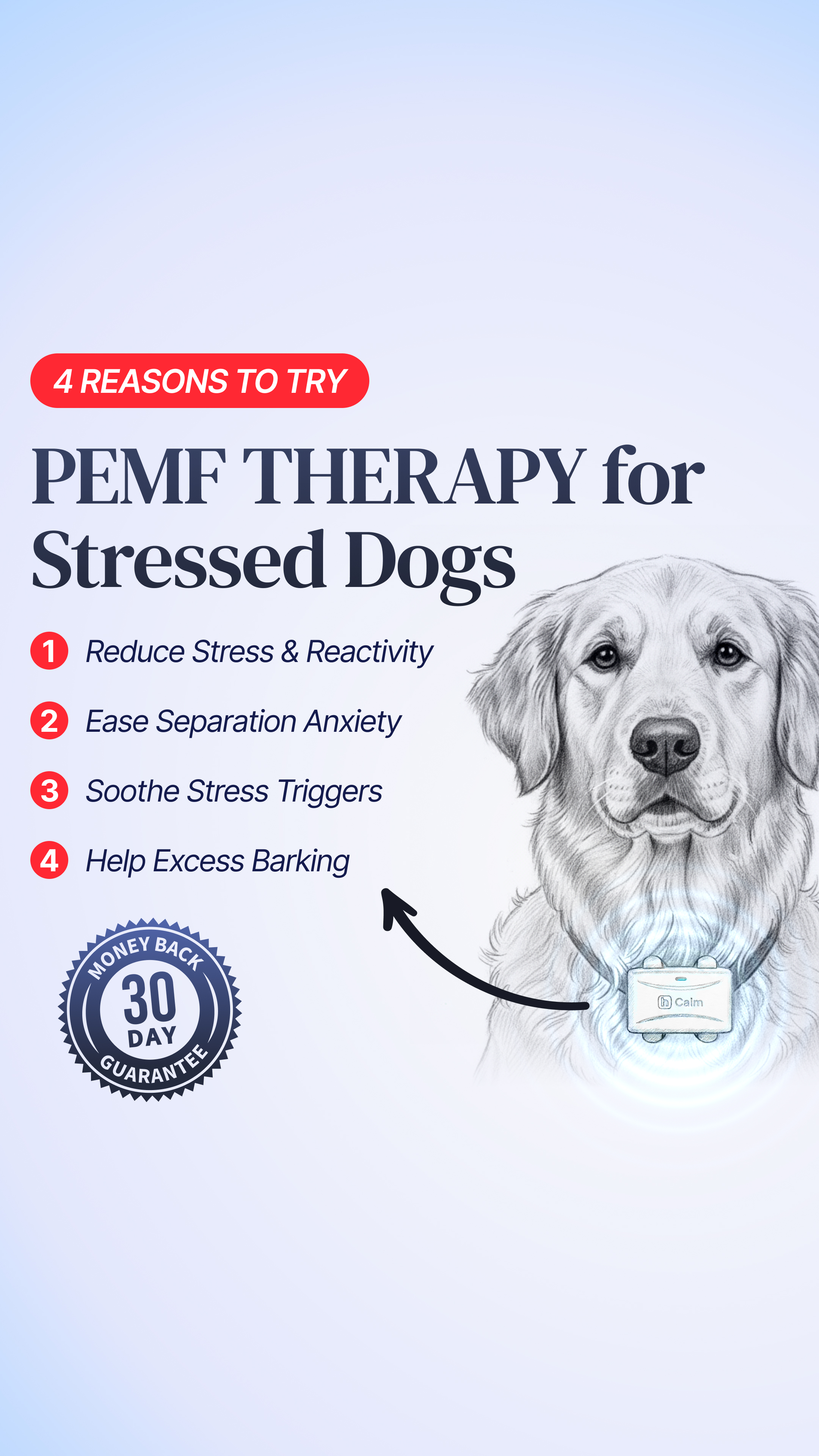Helio Pet Facebook ad