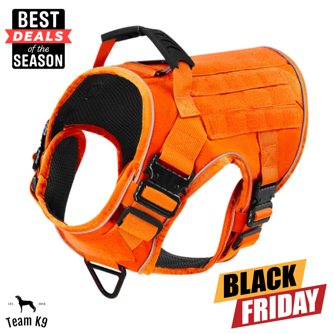 Team K9 Facebook ad