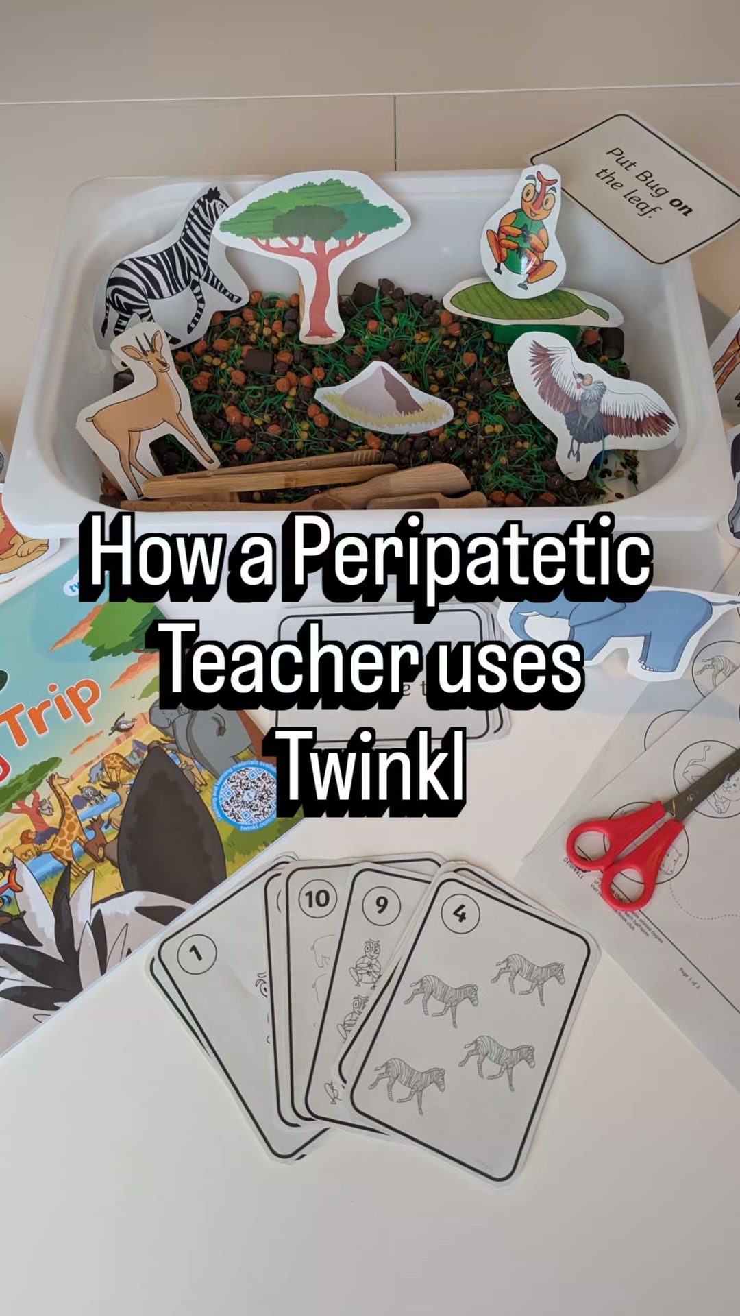 Twinkl Resources Facebook ad: Make every lesson purposeful
