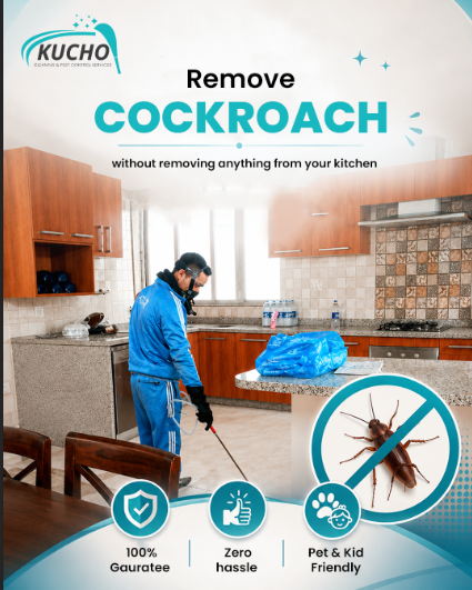 Kucho Cleaning Services Facebook ad: Cockroach control without moving items