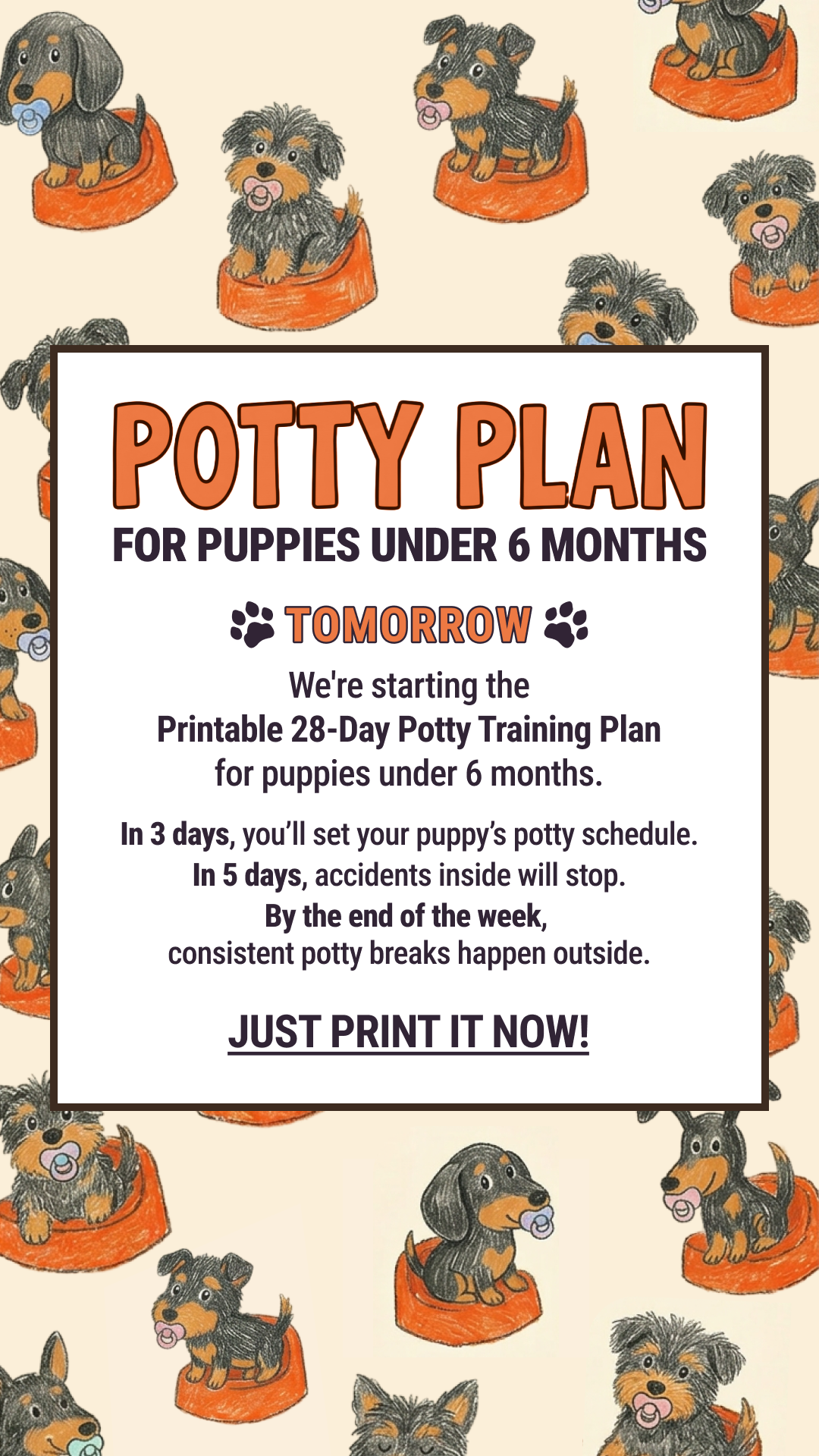 Woofz - Puppy Training Facebook ad