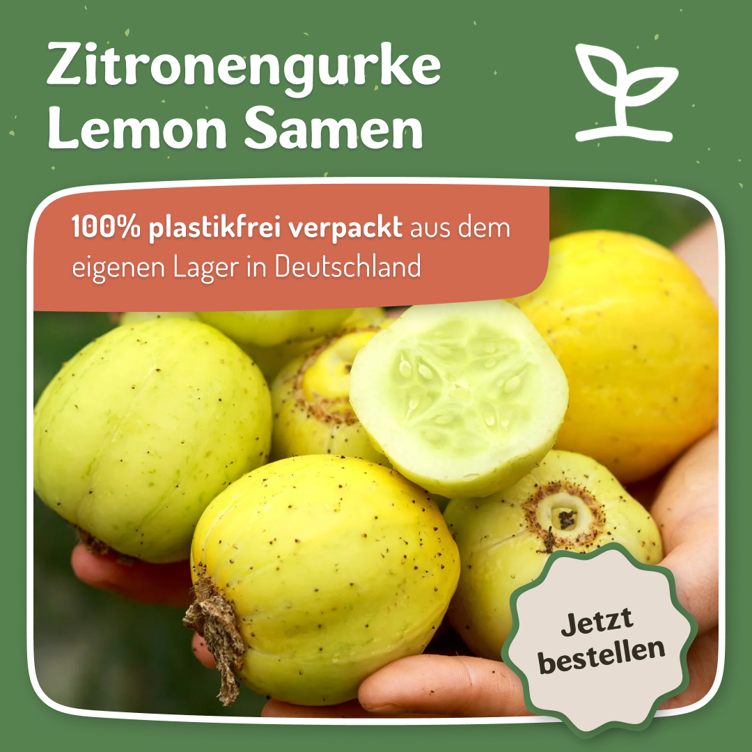 Samenfritze Facebook ad