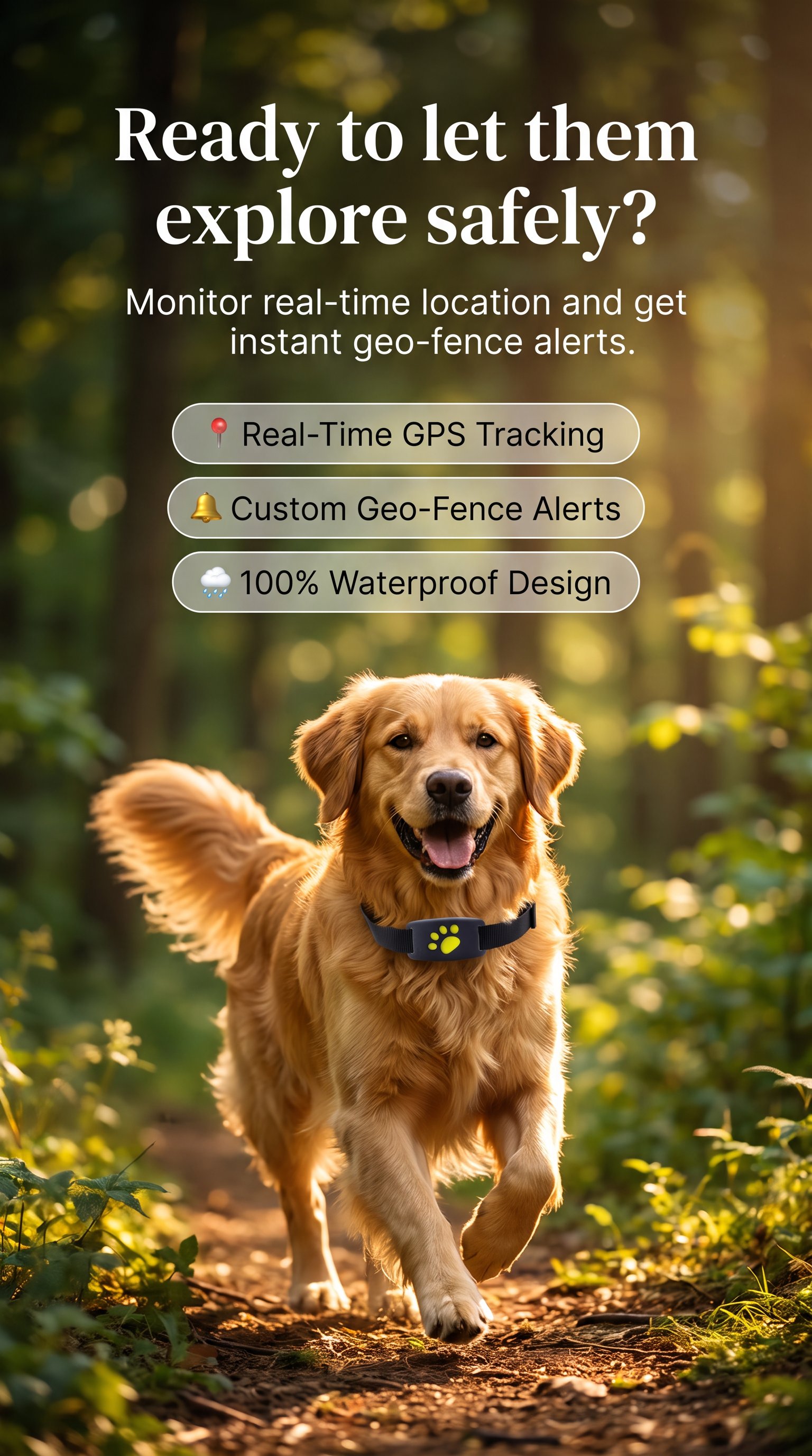 Zeely Marketplace Facebook ad