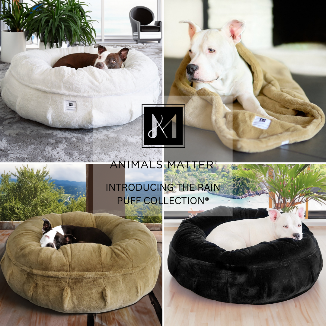 Animals Matter Facebook ad
