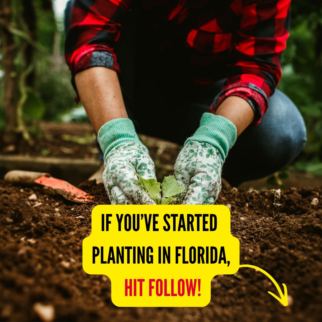 Florida Gardener Facebook ad from Mar 23, 2026