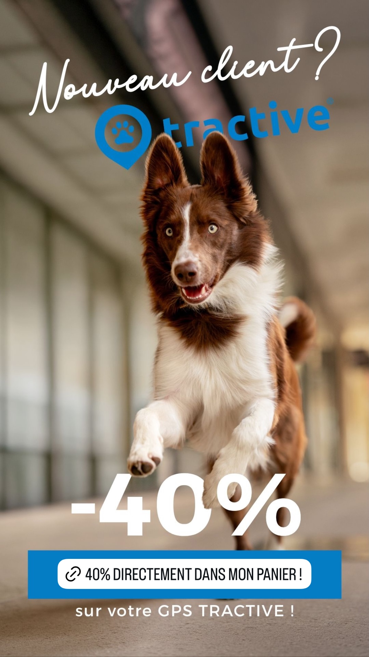 Tractive Facebook ad