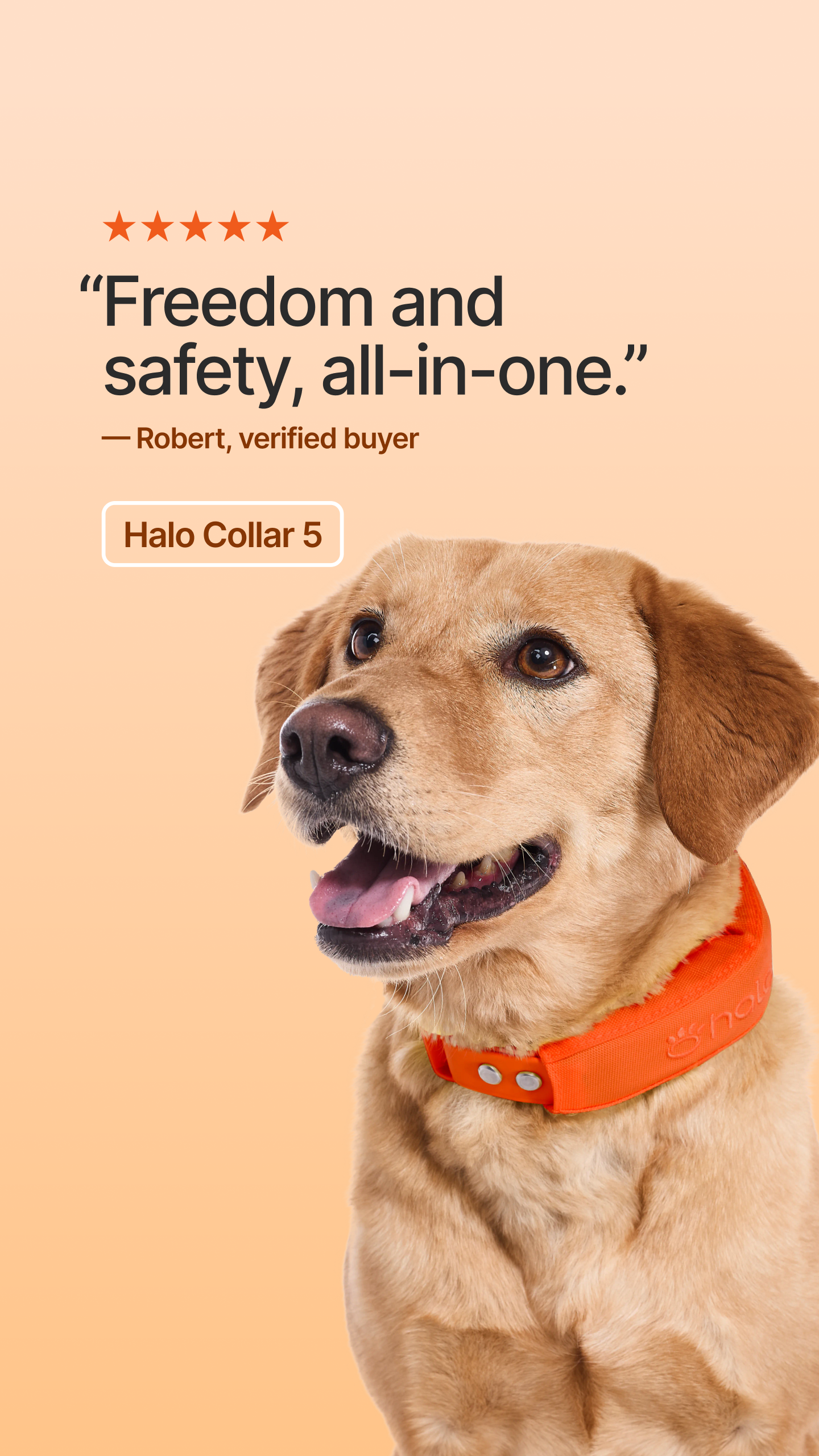 Halo Collar Facebook ad