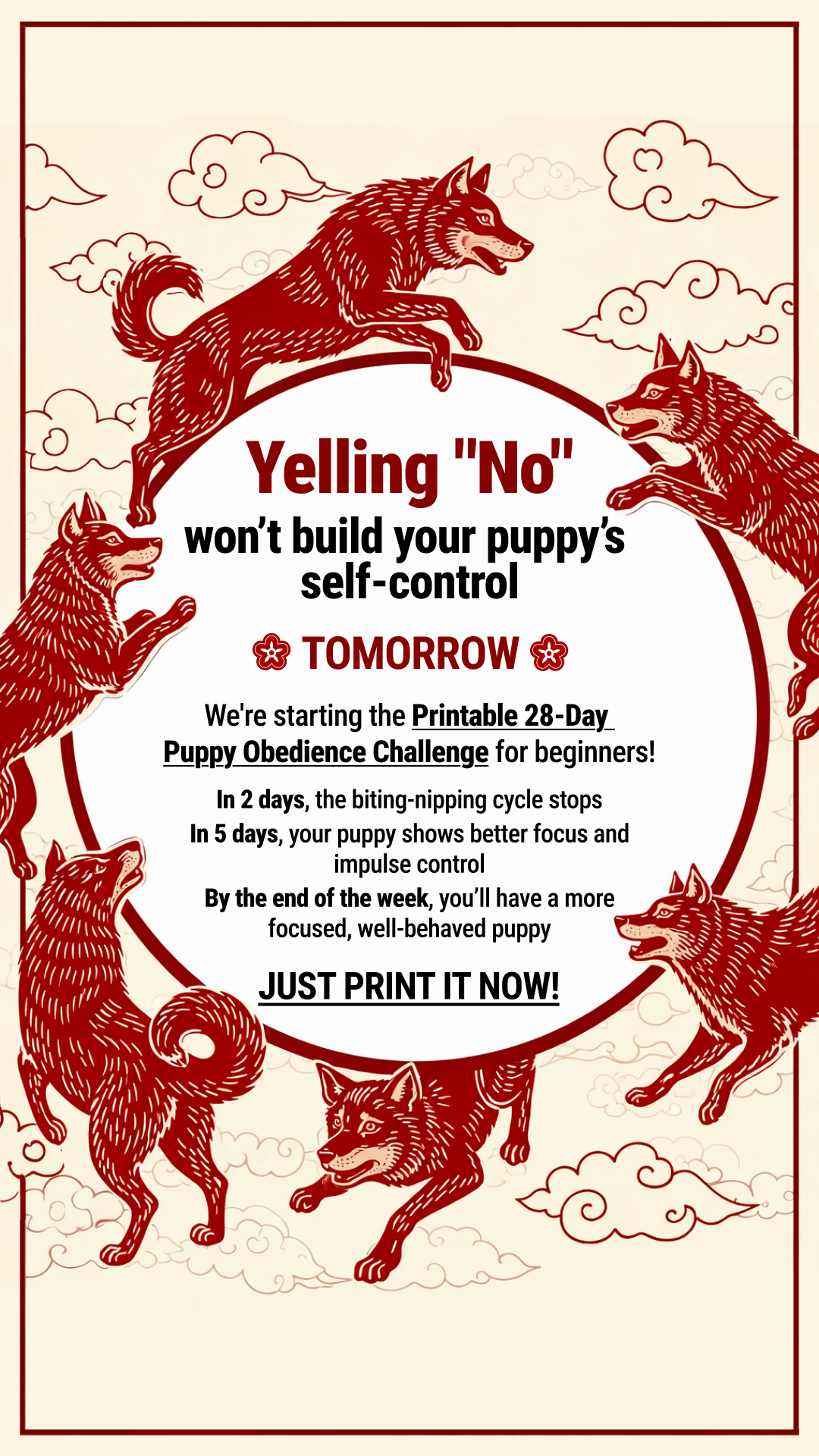 Woofz - Puppy Training Facebook ad