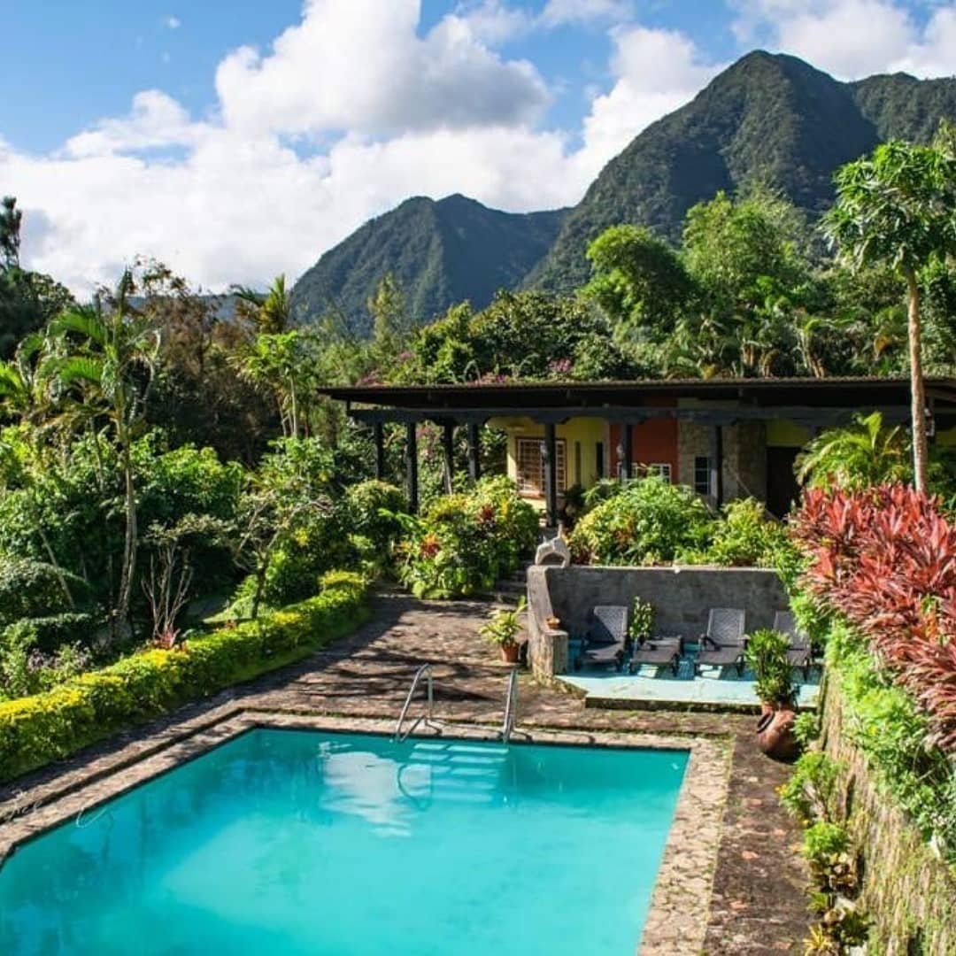The Golden Frog Inn Facebook ad: Necesitas Relajarte? The Golden Frog Inn naturaleza y…