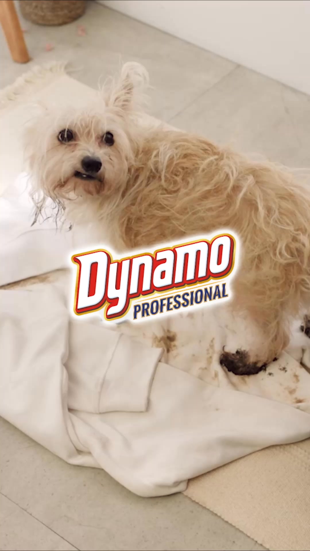 Dynamo Professional Facebook ad: Dynamo Deep Clean
