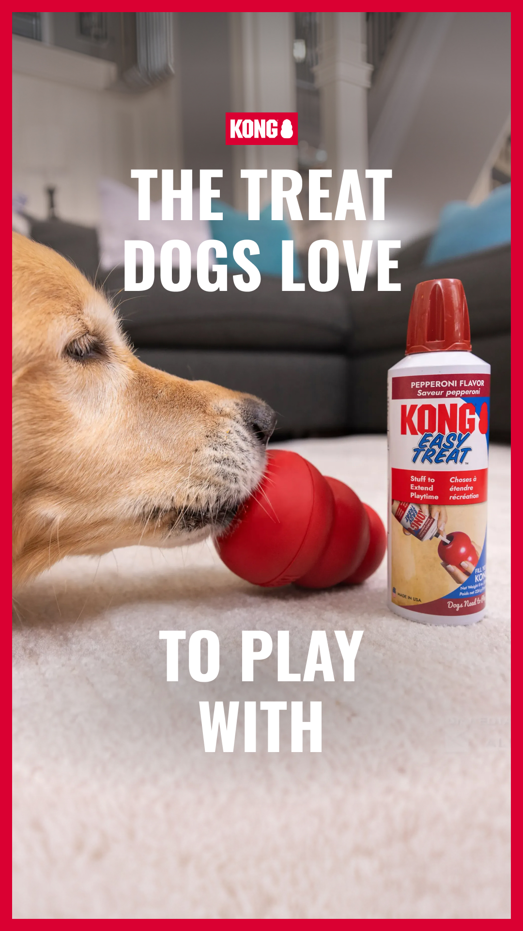 KONG Facebook ad