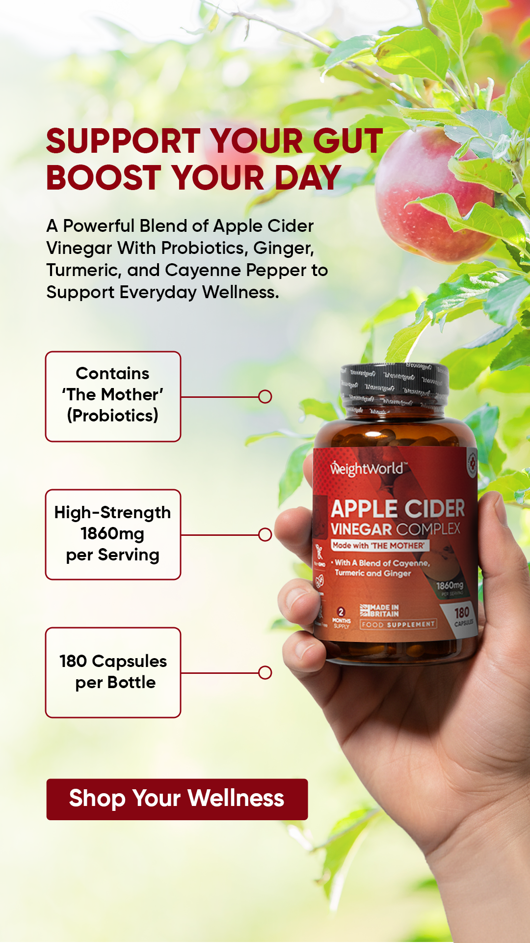 WeightWorld IE Facebook ad