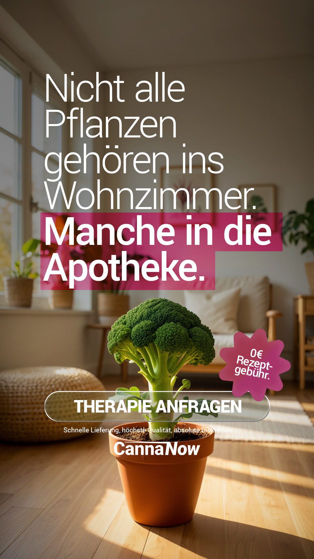 CannaNow Facebook ad from Nov 28, 2025