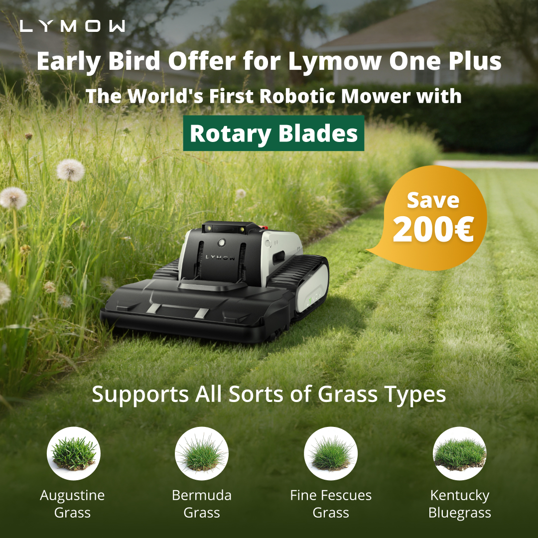 Lymow Tech Facebook ad: Early Bird Offer for Lymow One Plus