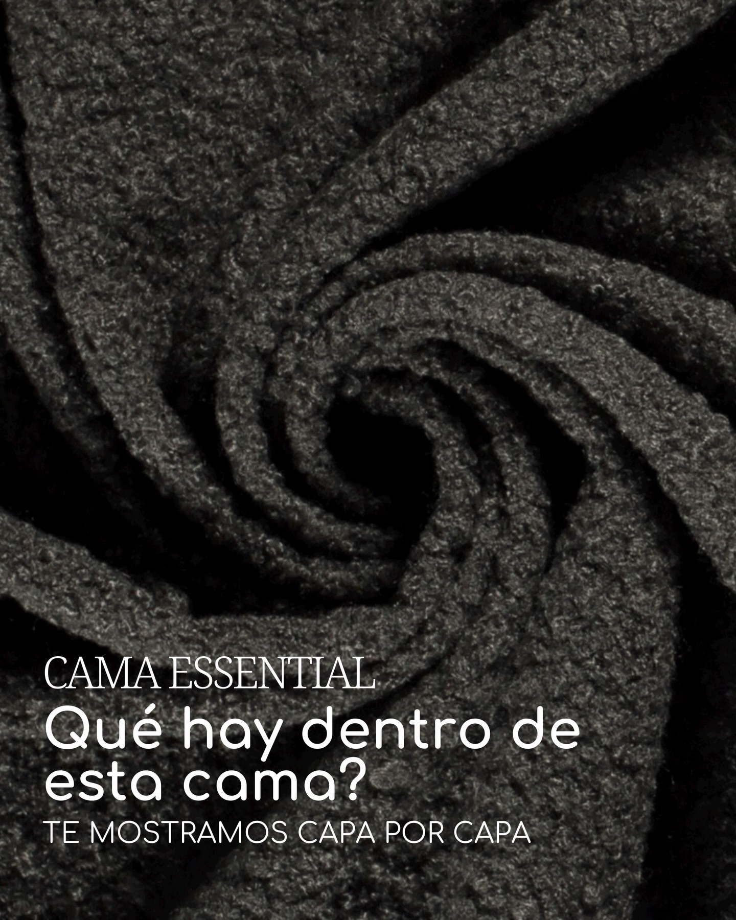 Donna's Pet Boutique Facebook ad: Materiales y tecnología de la más alta calidad…