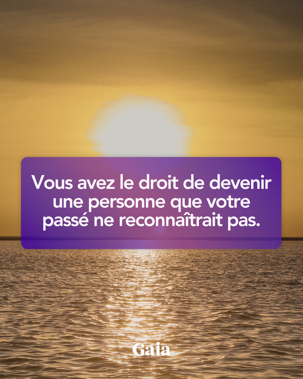 Nous Sommes Gaia Facebook ad
