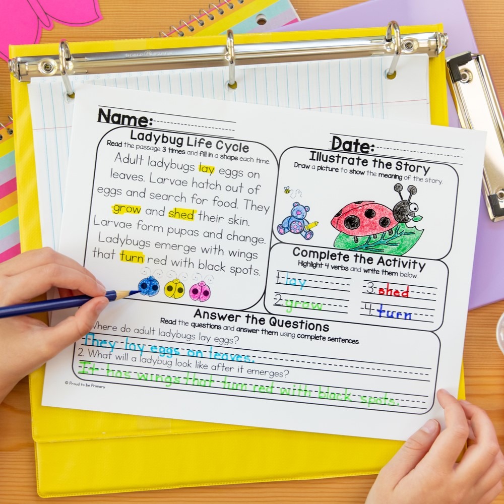 Proud to be Teaching Primary Facebook ad