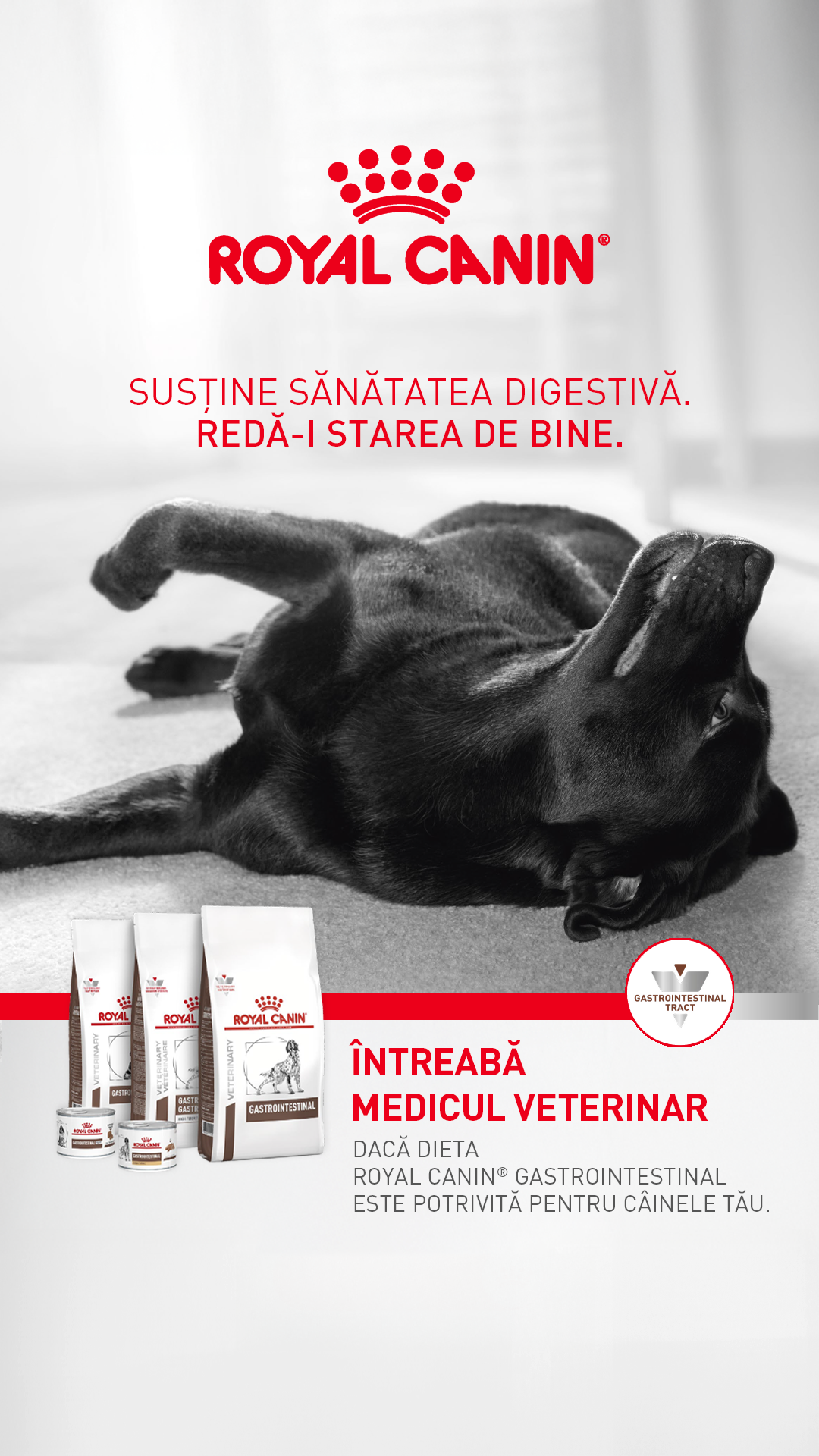 Royal Canin Facebook ad from May 14, 2026