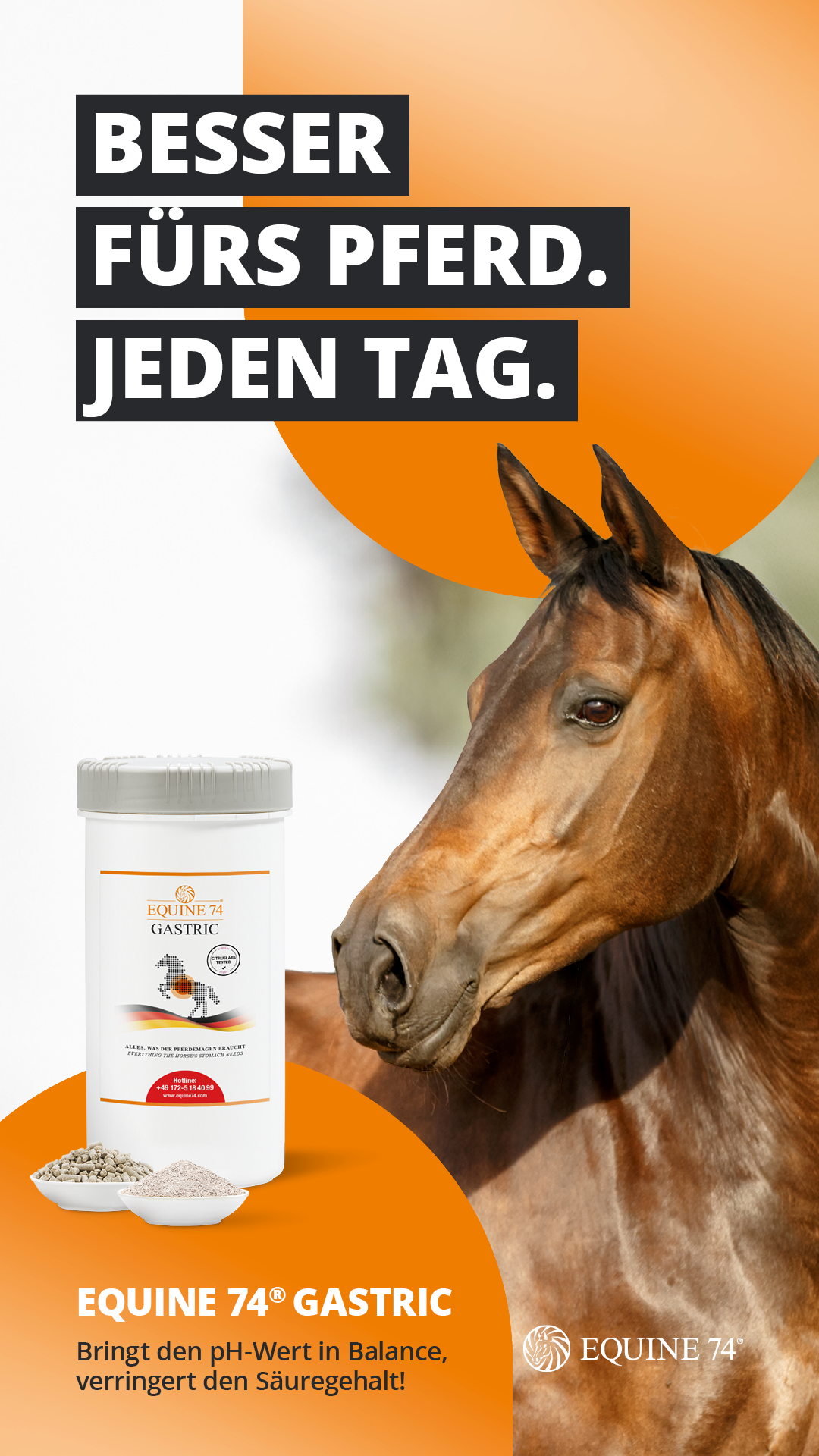 Equine74 Facebook ad from Feb 7, 2026