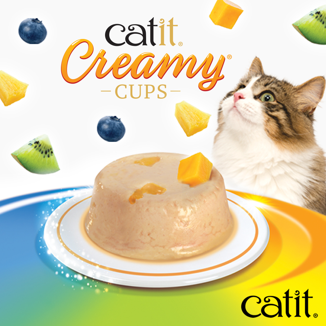 Catit Canada Facebook ad
