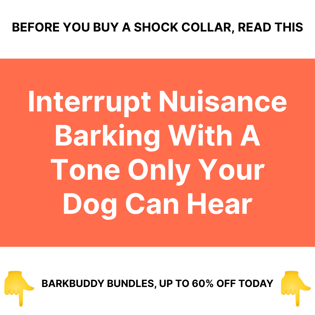 Canine Corner Australia Facebook ad