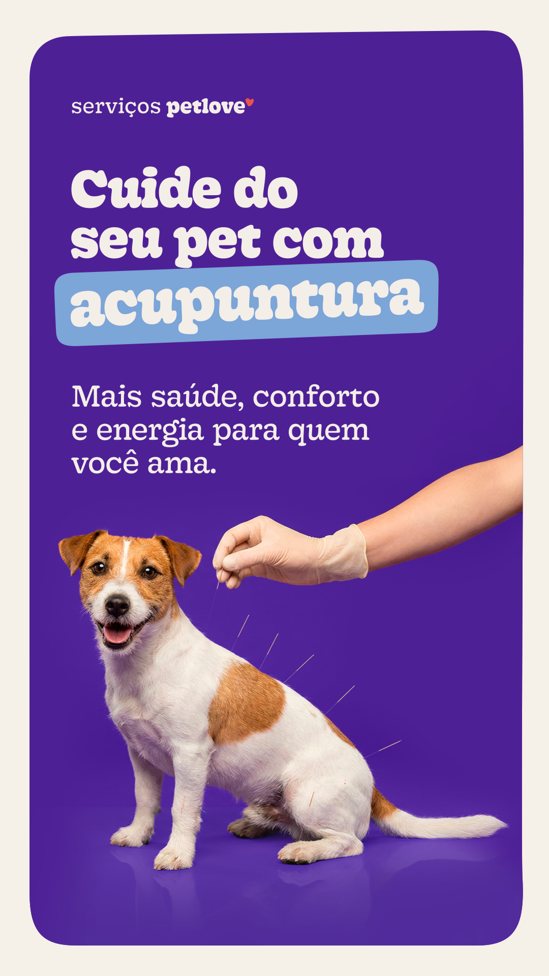 Petlove Facebook ad