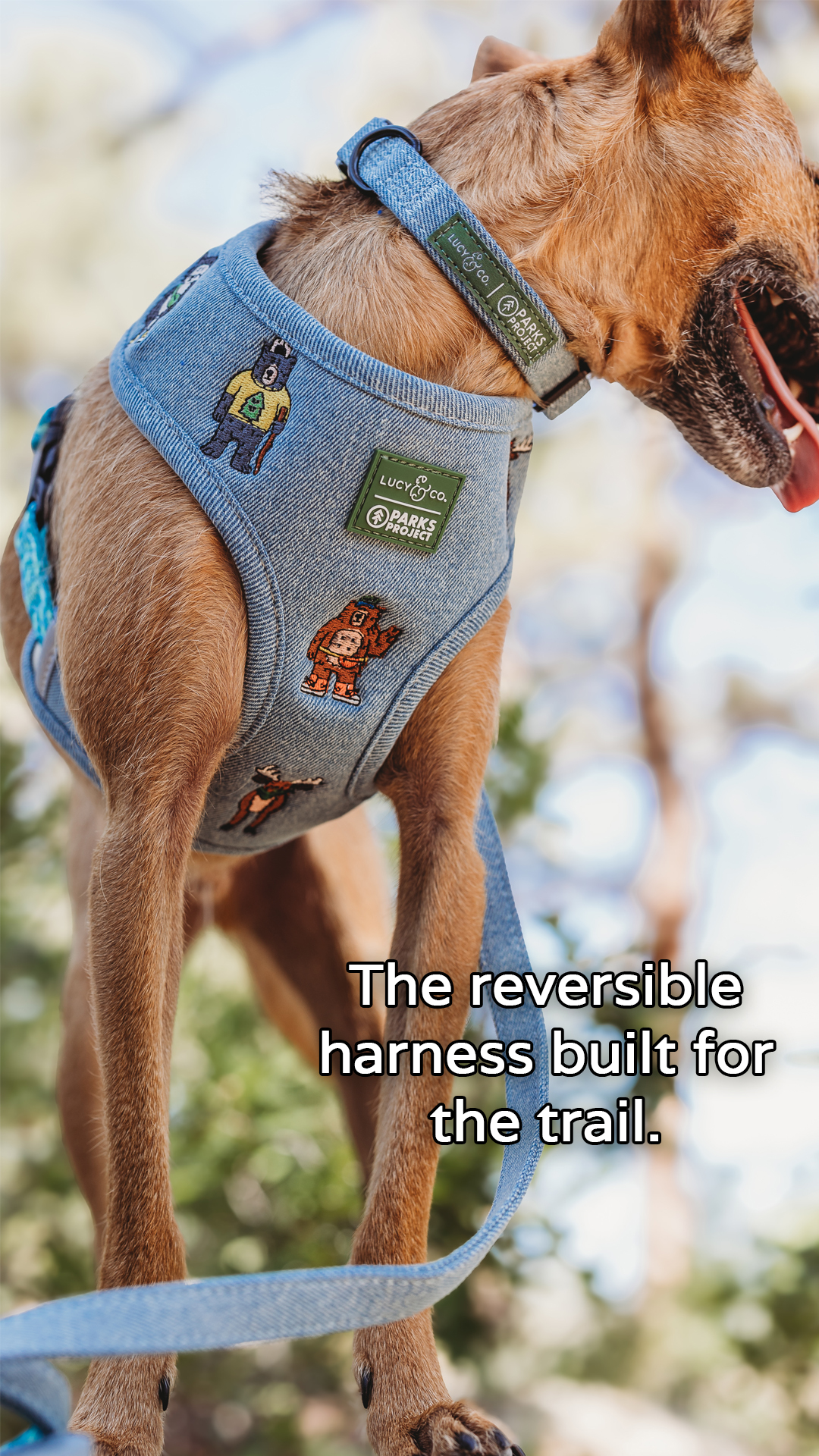 Lucy & Co. Facebook ad