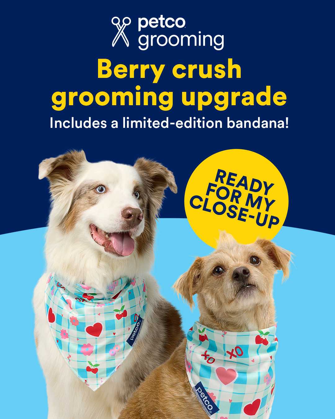 Petco Facebook ad