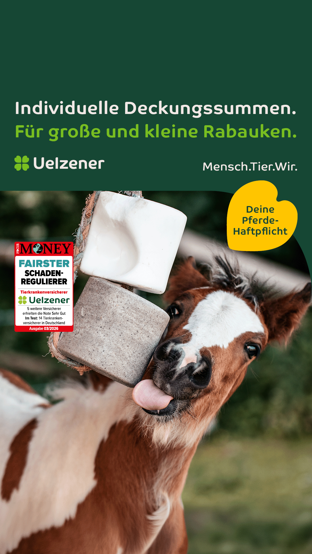 Uelzener Versicherungen Facebook ad