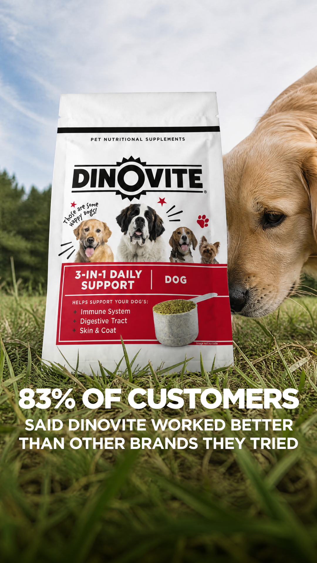 Dinovite.com Facebook ad