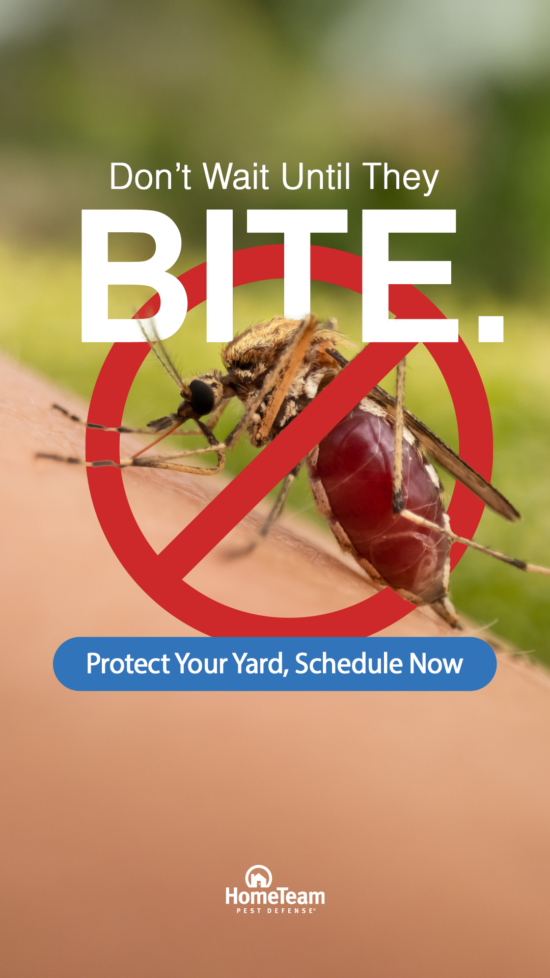 HomeTeam Pest Defense Facebook ad