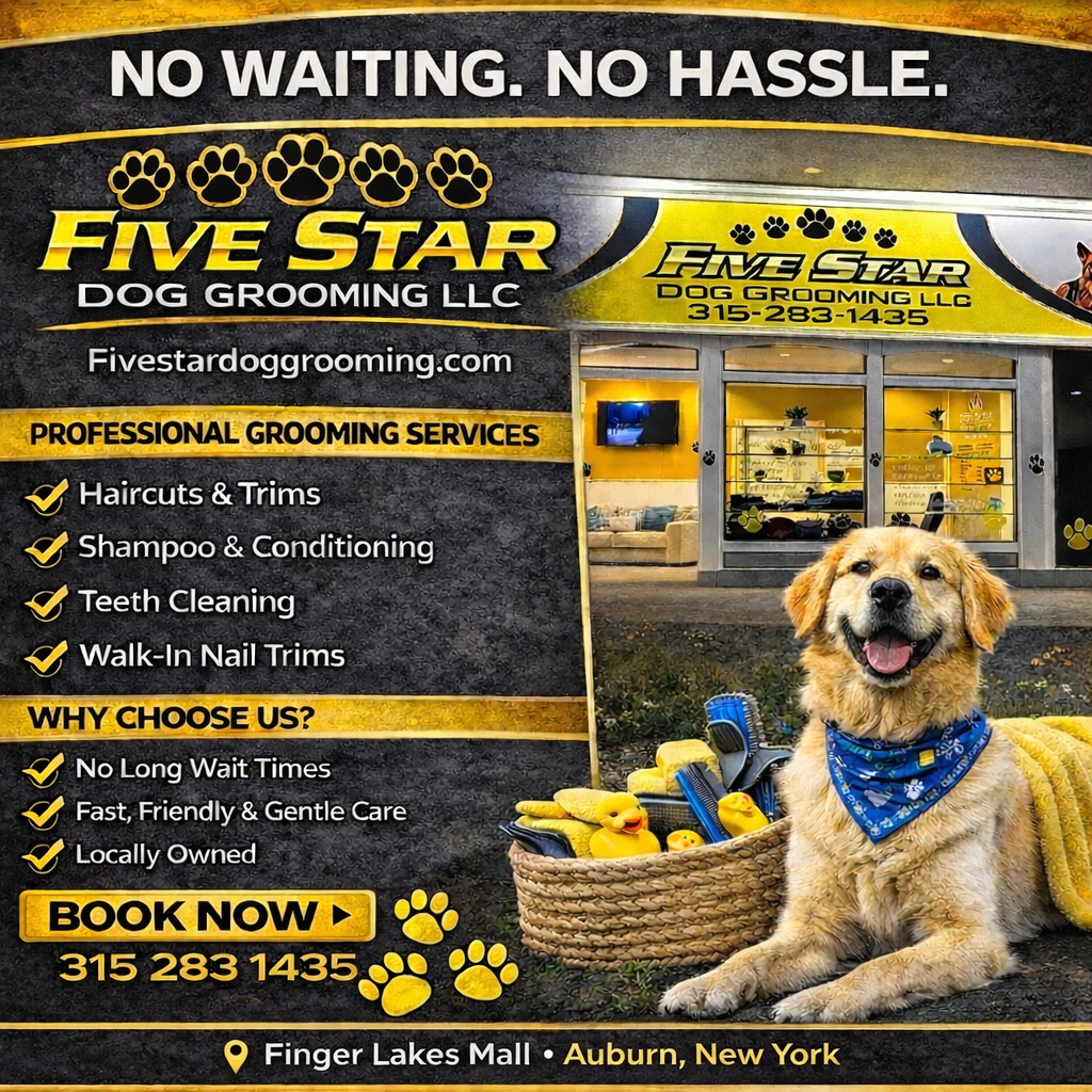 Five Star Dog Grooming LLC Facebook ad: Happy dog. Happy you.
