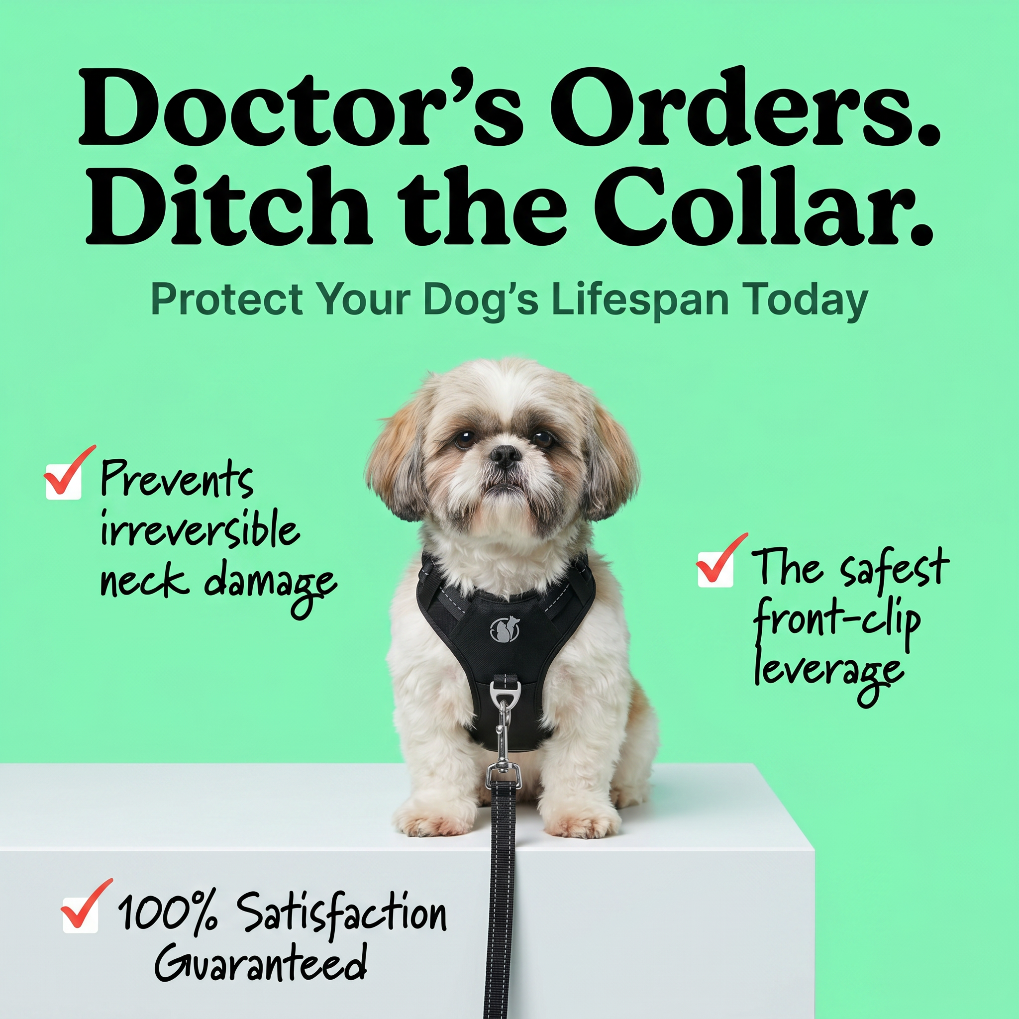 PawSafe Facebook ad