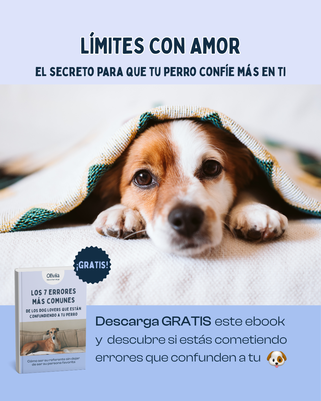 Oliviia Facebook ad: Querer a tu perro también es saber poner límites