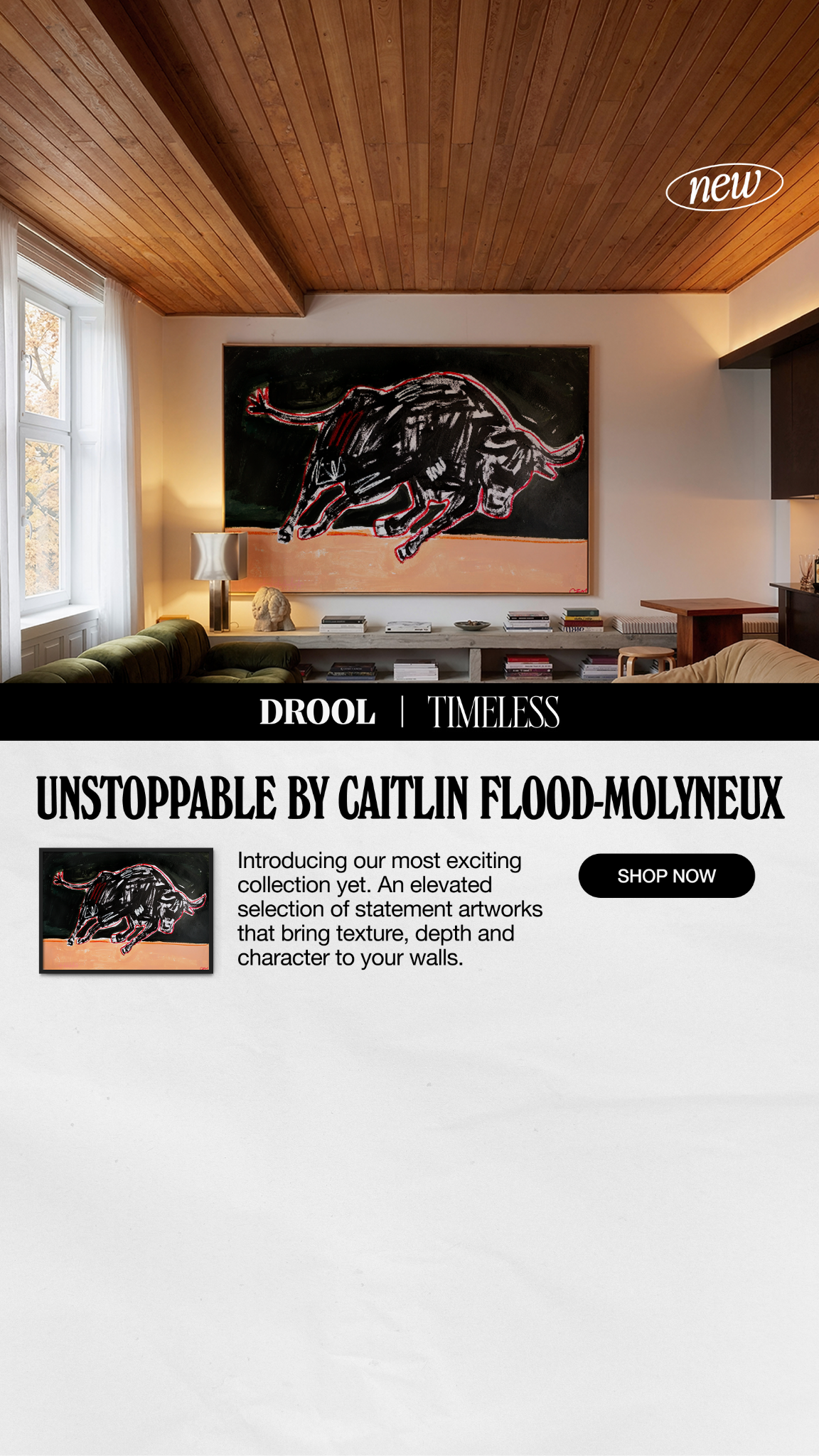 DROOL Facebook ad