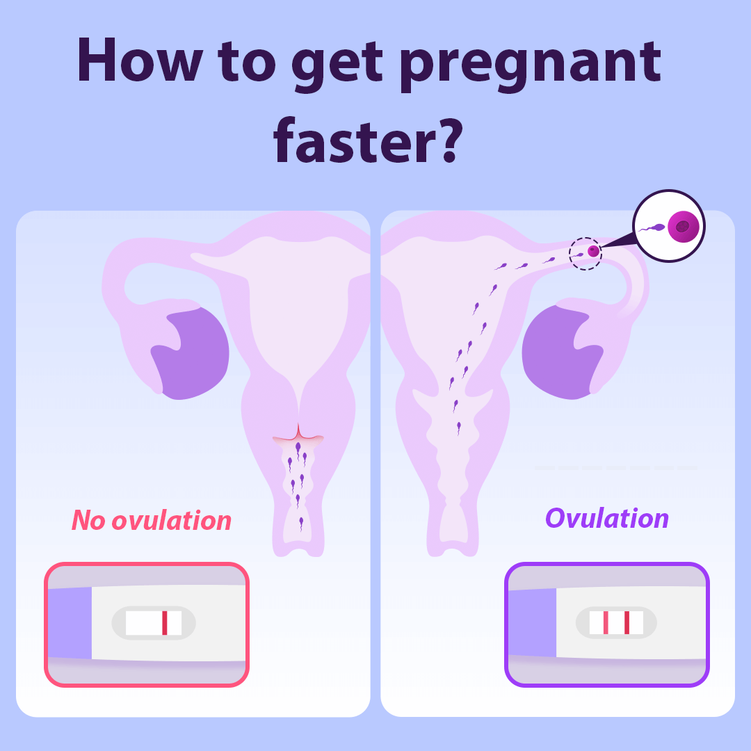 Premom Ovulation Tracker App Facebook ad