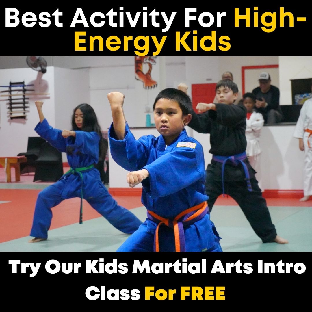 Twin Tigers Academy of Self Defense Facebook ad